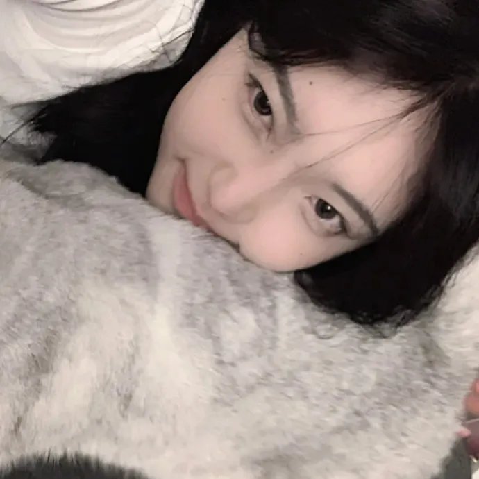 美国的儿子